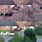PiNoIR - what's it for? Comparison of RasPiCam and Pi NoIR output in daylight
