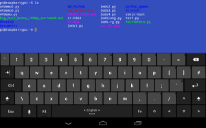 raspberry hackers ten